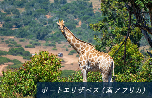 ポートエリザベス（南アフリカ）
