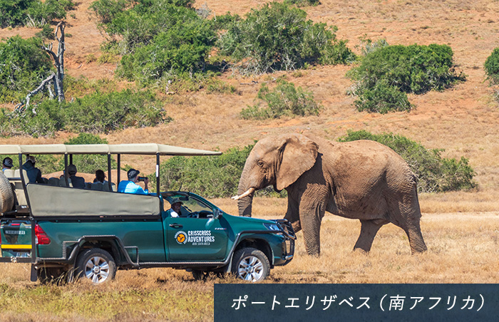 リオのカーニバル(ブラジル)