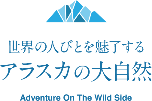 世界の人々を魅了する アラスカの大自然