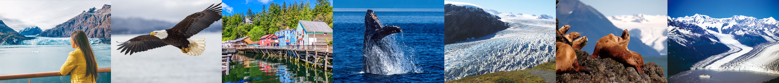 PEACE BOAT 遙かなるアラスカをゆく 世界一周クルーズ2025年4月出航