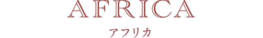 アフリカ