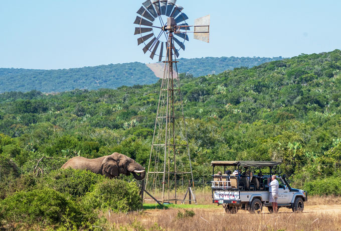 ポートエリザベス（南アフリカ）