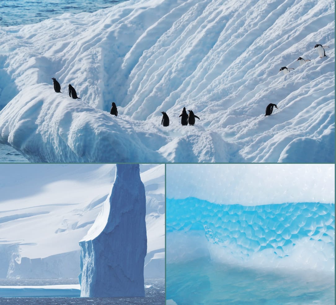 圧倒的な地球のエネルギーが生み出す芸術世界へ、ようこそ。